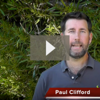 How Do You Know If Your Business Model Will Work